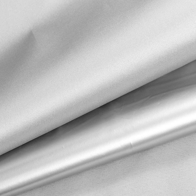Dath Taffeta le Cumhdach Airgid-07